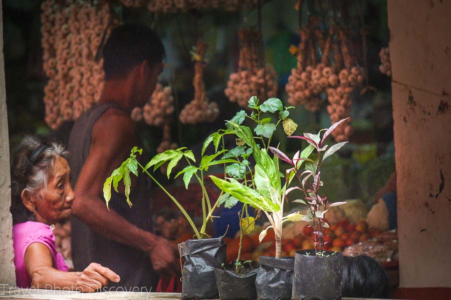 Visiting the public market in Ilocos Norte