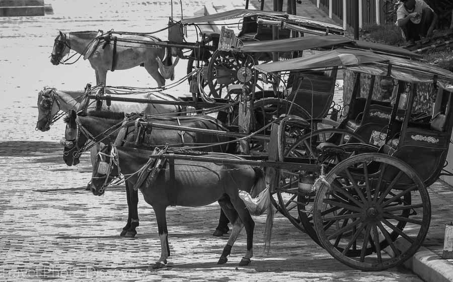 Kalesa rides through Vigan city