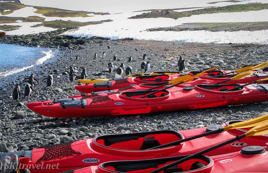 Kayak trip to Antarctica