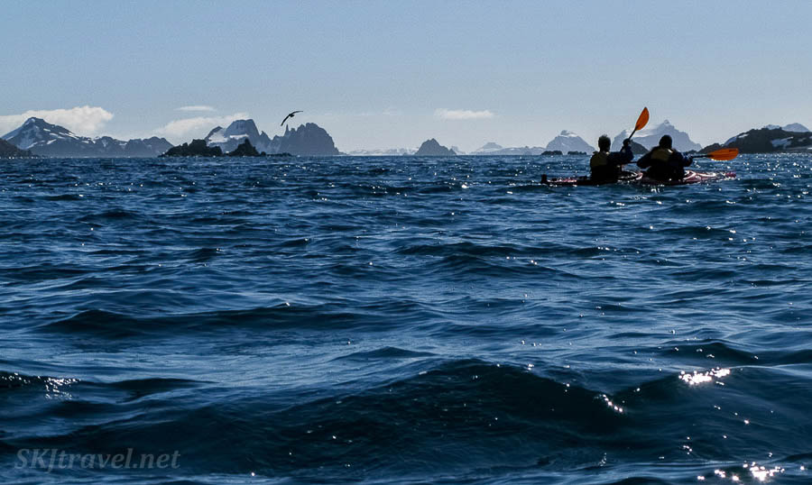 adventure Kayaking in Antarctica