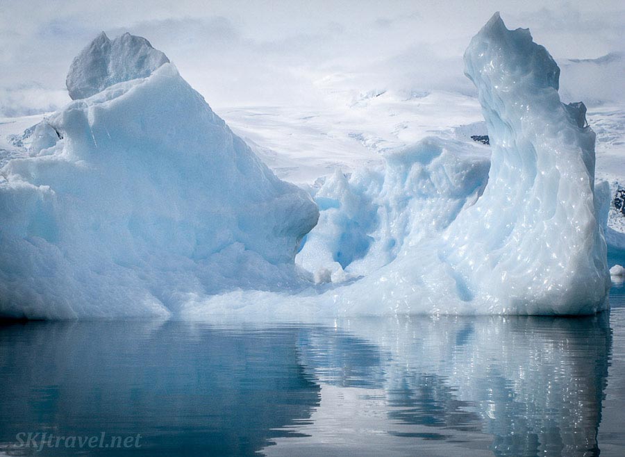 Exploring Cuverville Island 