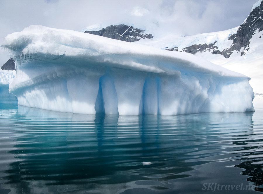 Exploring Cuverville Island 