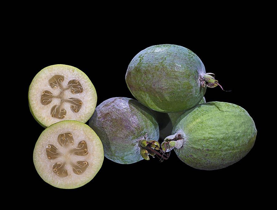 tropical fejoia fruit