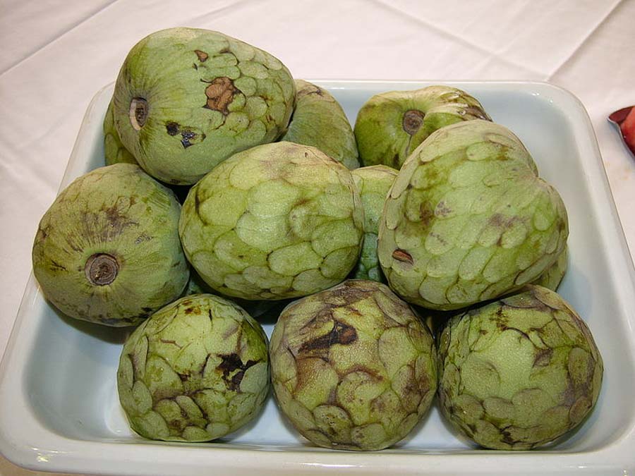 Tasty tropical Cherimoya fruit