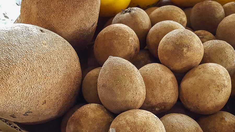 Chico sapote and sapodilla