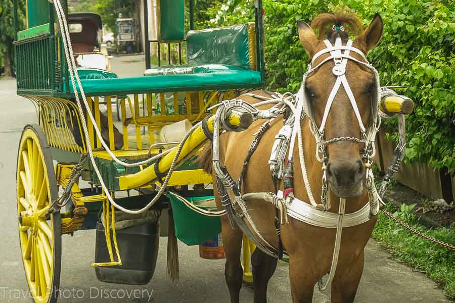 Kalesa ride through Manila's Intramuros district