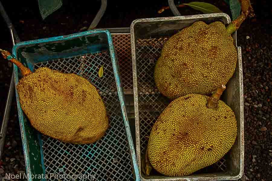 Jack fruit