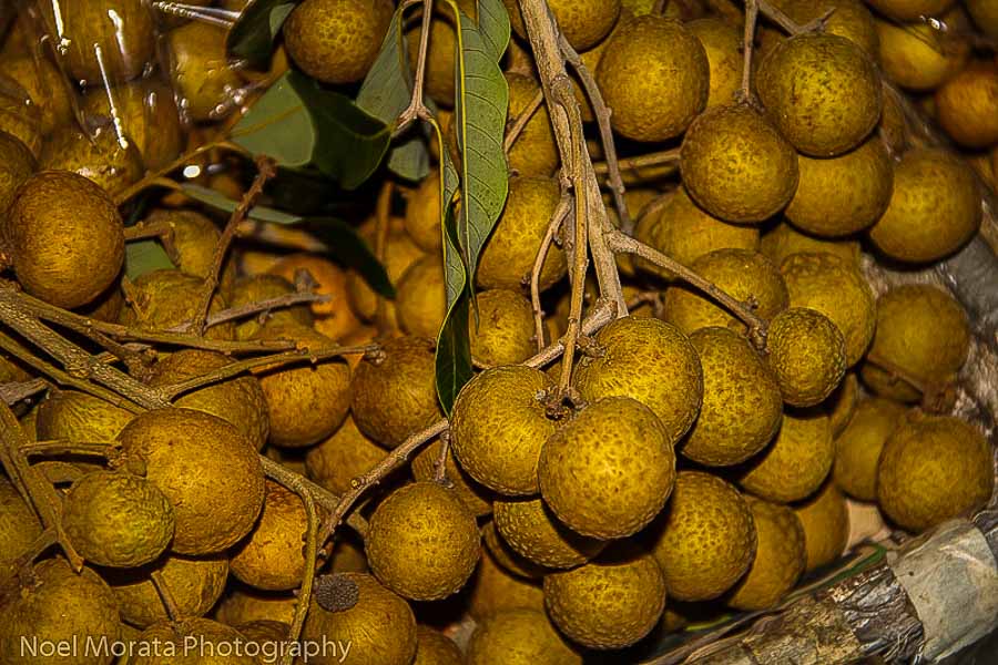 Tropical Longan fruits