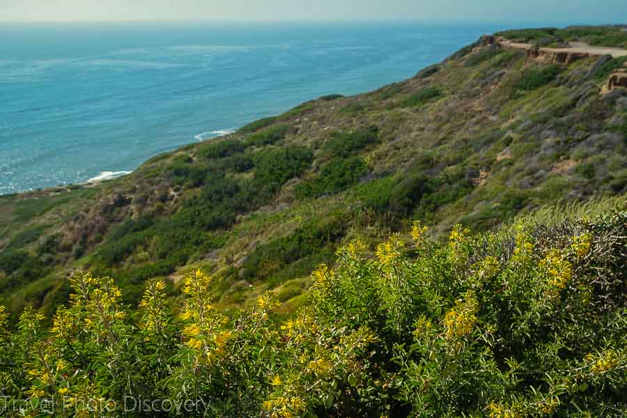 Exploring Point Loma in San Diego 