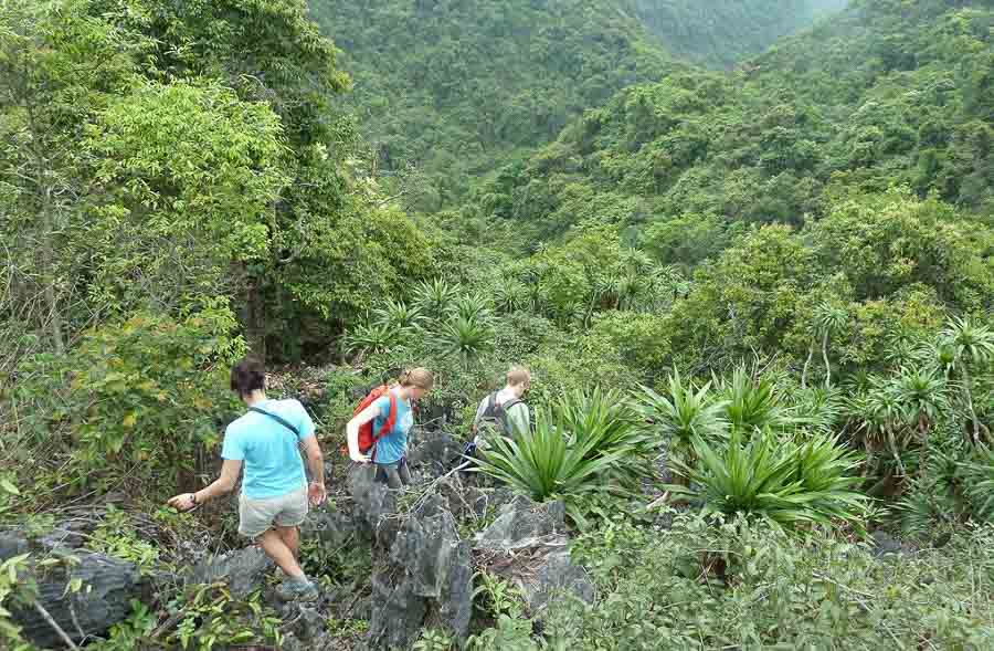 cat-ba-national-park