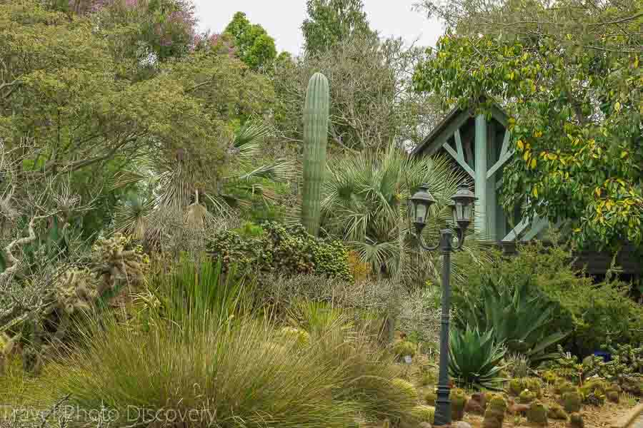 Front entry at San Diego Botanical Garden 