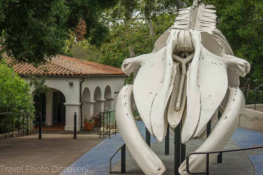 Santa Barbara Museum of Natural History