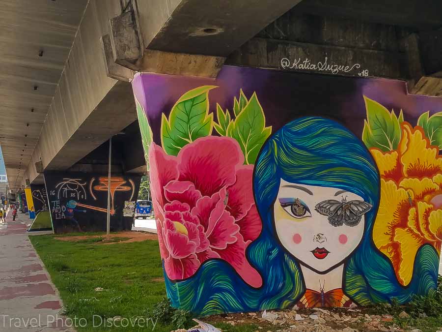 Avenida Cruzeiro do Sul street art on the pillars