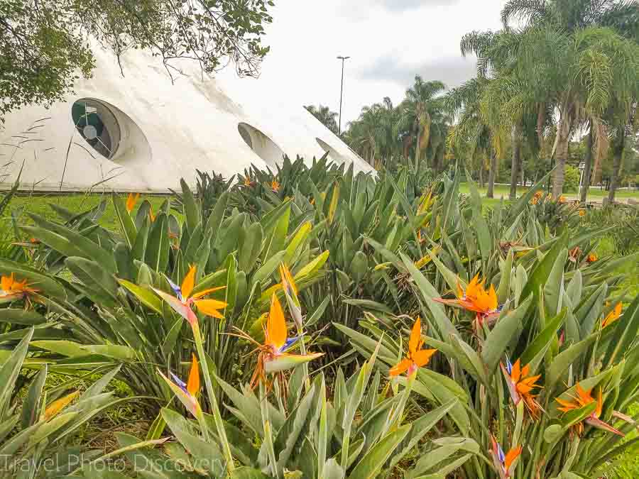 Ibirapuera Park in Sao Paulo