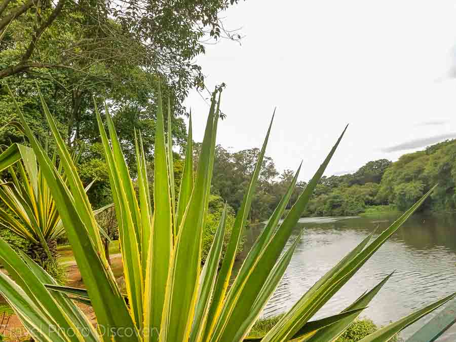 Ibirapuera Park in Sao Paulo