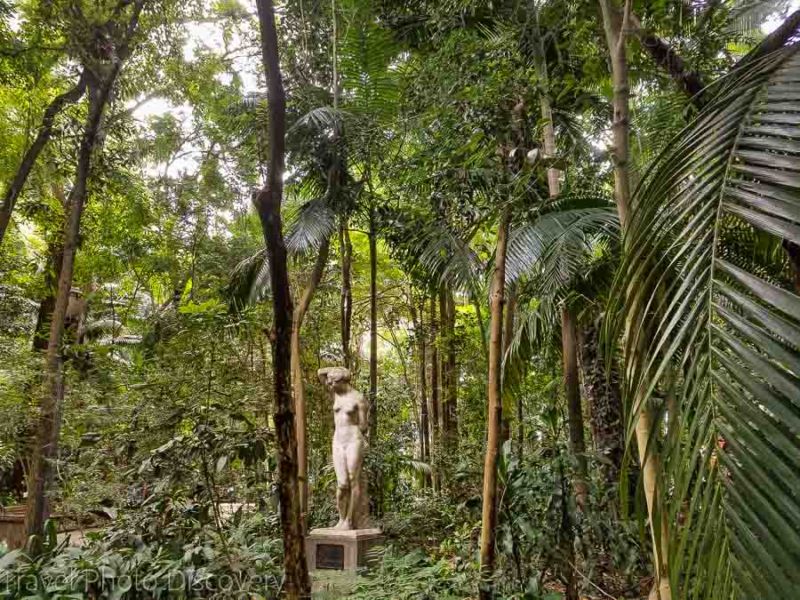 Trianon park at Sao Paulo