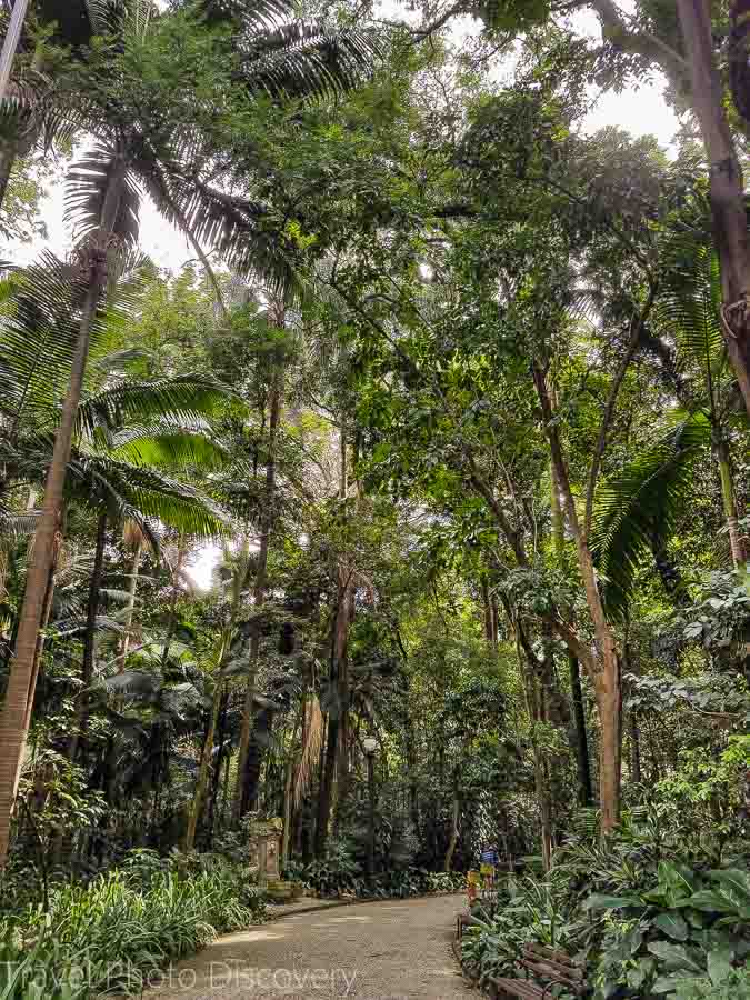 Trianon park at Sao Paulo