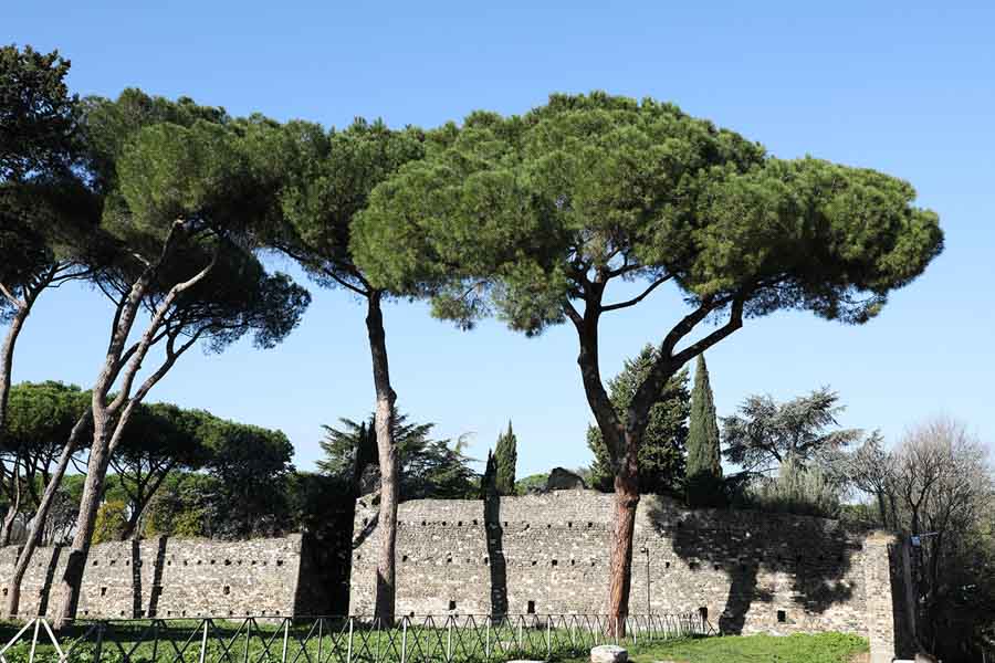 Walk the Appian Way in Rome