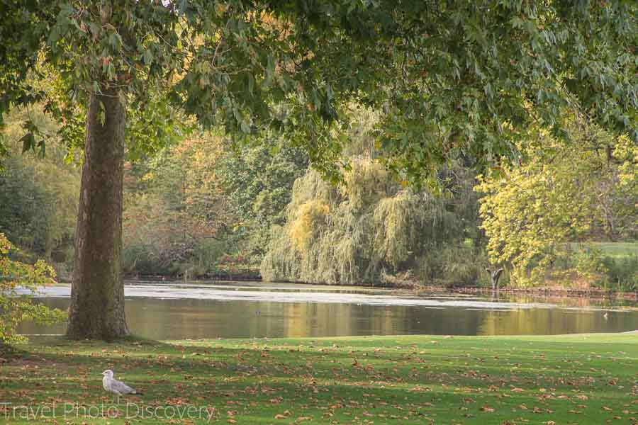 Free parks to explore in London