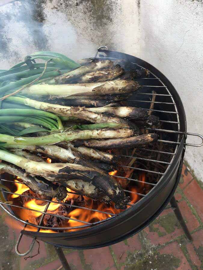 Catalunya foods and Calcots