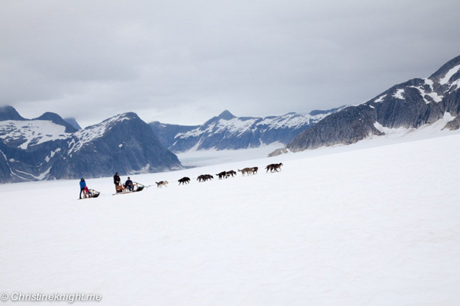 dog-sledding adventure in Alaska