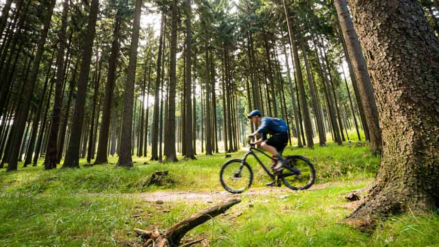 Arkansas International Mountain Bicycling Association Ride Center