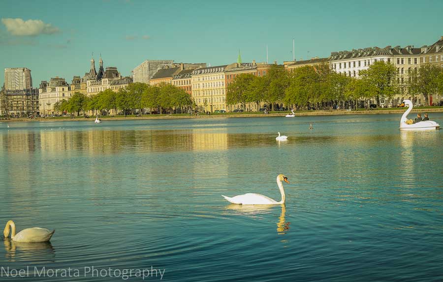 The Lakes district in Copenhagen