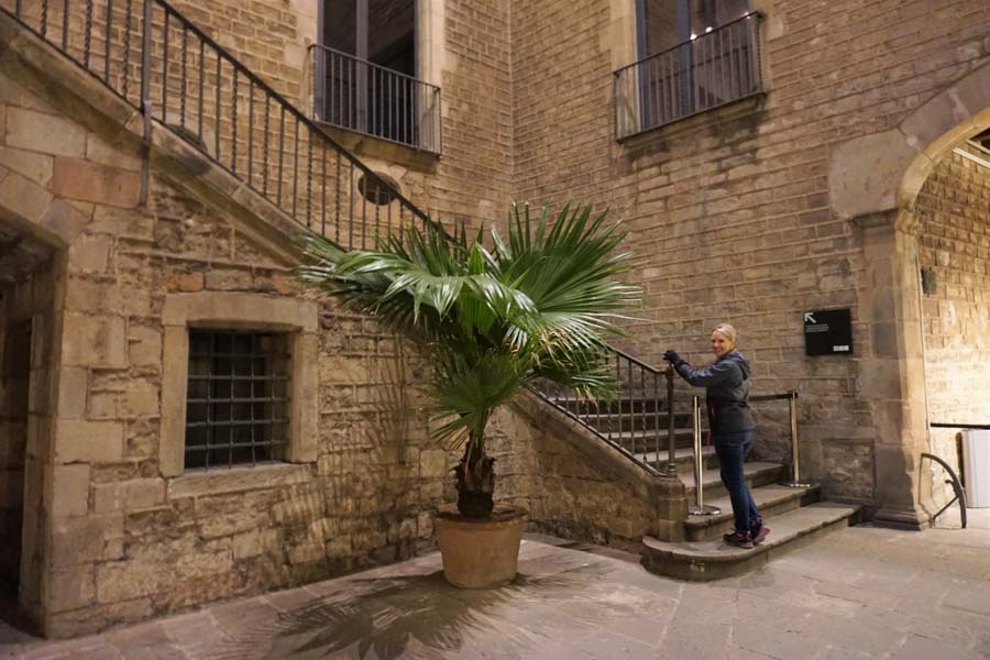 Courtyard of the Picasso Museum in Barcelona