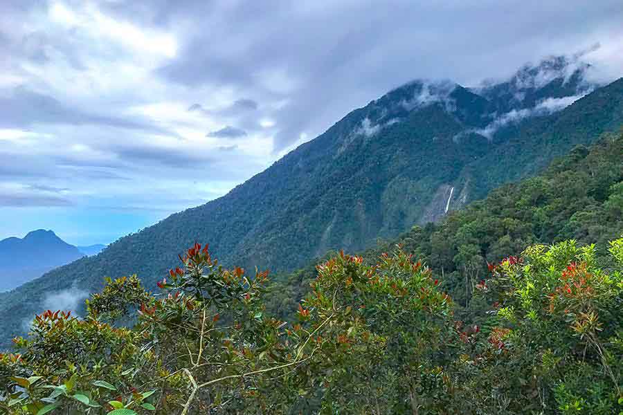 Kinabalu national Park