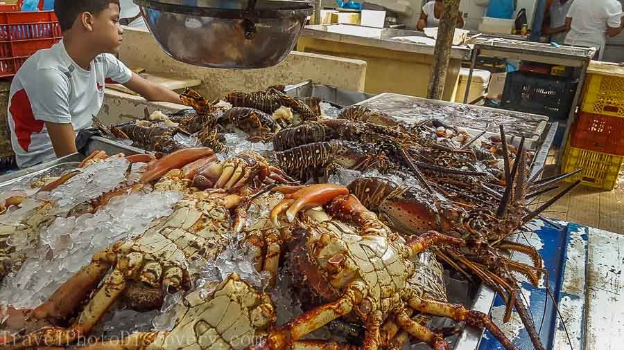 Panama-city-seafood-market-things to do in Panama