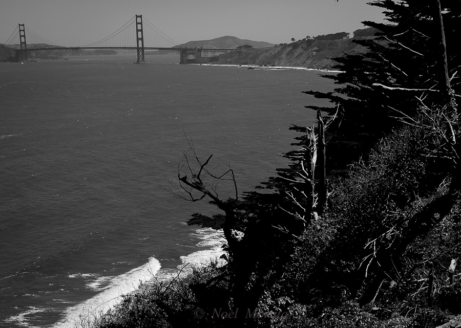 Free things to do San Francisco Lands End trail