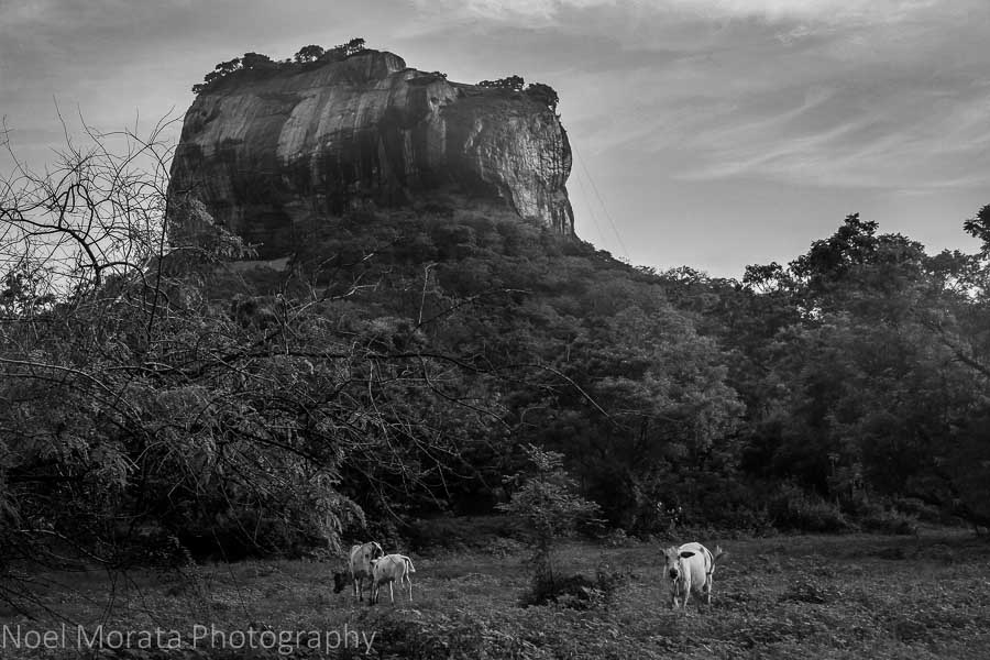 Sri Lanka and Sigiriya