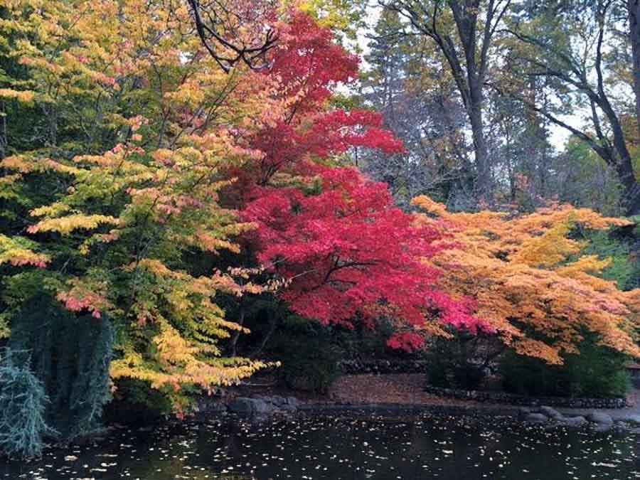 Ashland, Oregon fall colors
