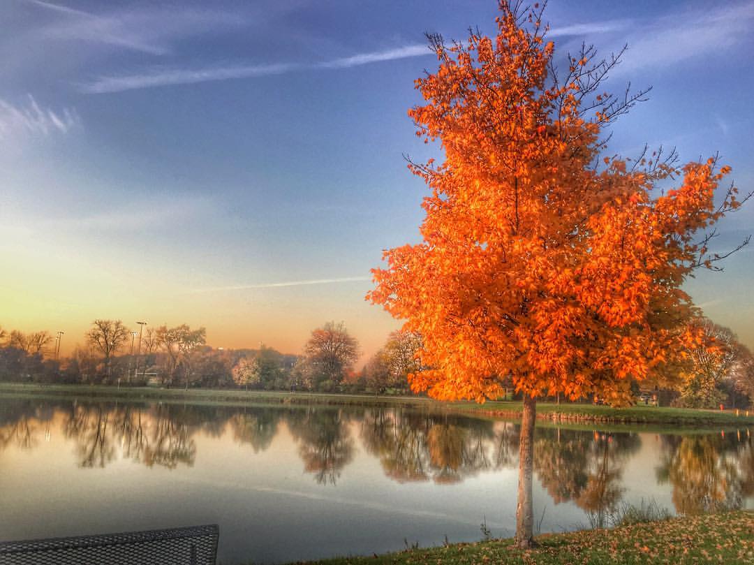 Michigan Fall pond leah little travel & fashion