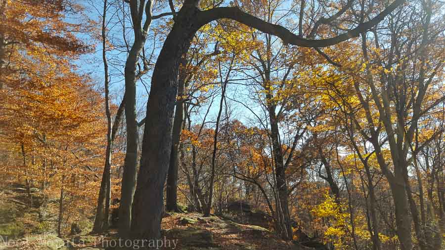 Autumn in USA