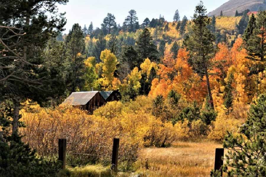 Lake Tahoe Region