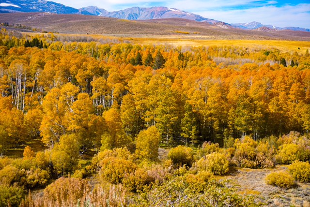 eastern California Sierra's along Hwy 395