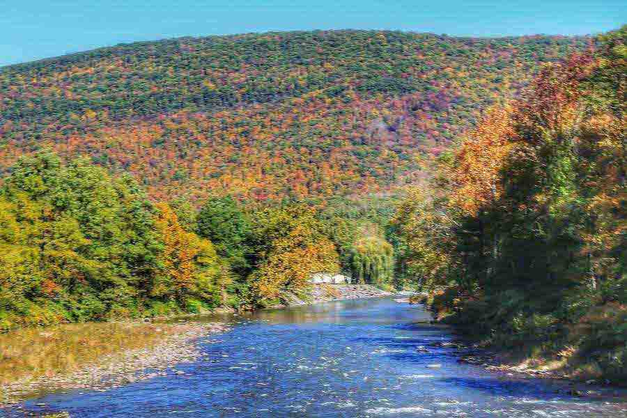 fall color in the catskill