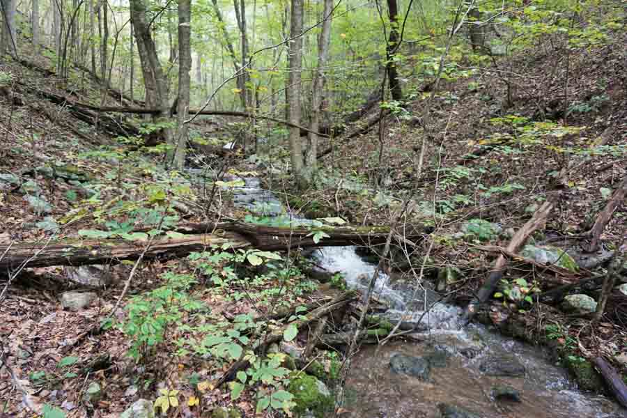 George Washington National Forest