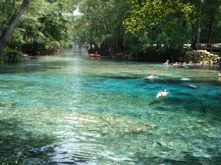 Ginnie_Springs in Central Florida