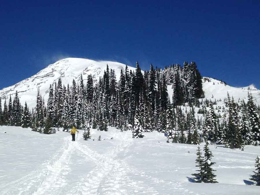 Mount-rainier-snowshoe-trees