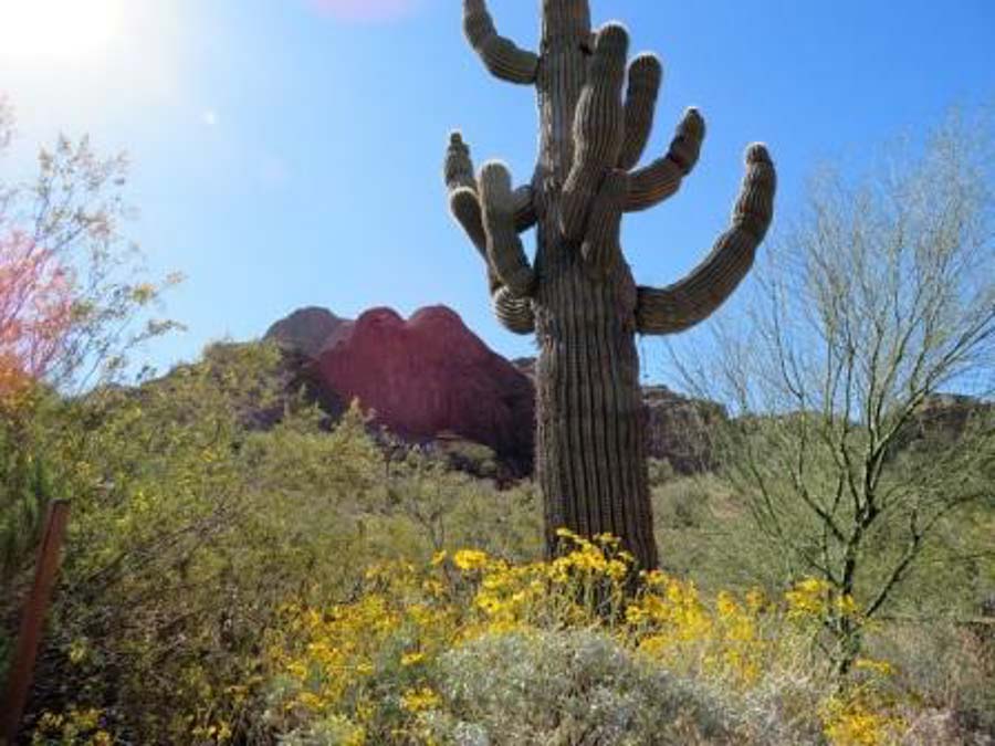 Urban Hiking Camelback Mountain Phoenix Arizona