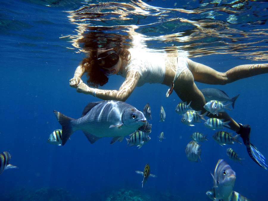 snorkeling-at-West-End-Beach