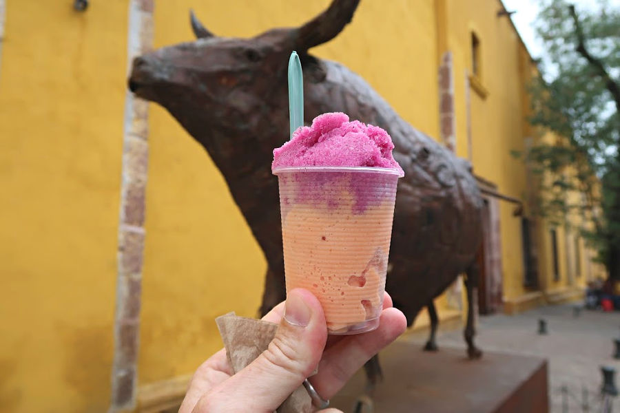 An epic food Education San Miguel de Allende mamey ice cream