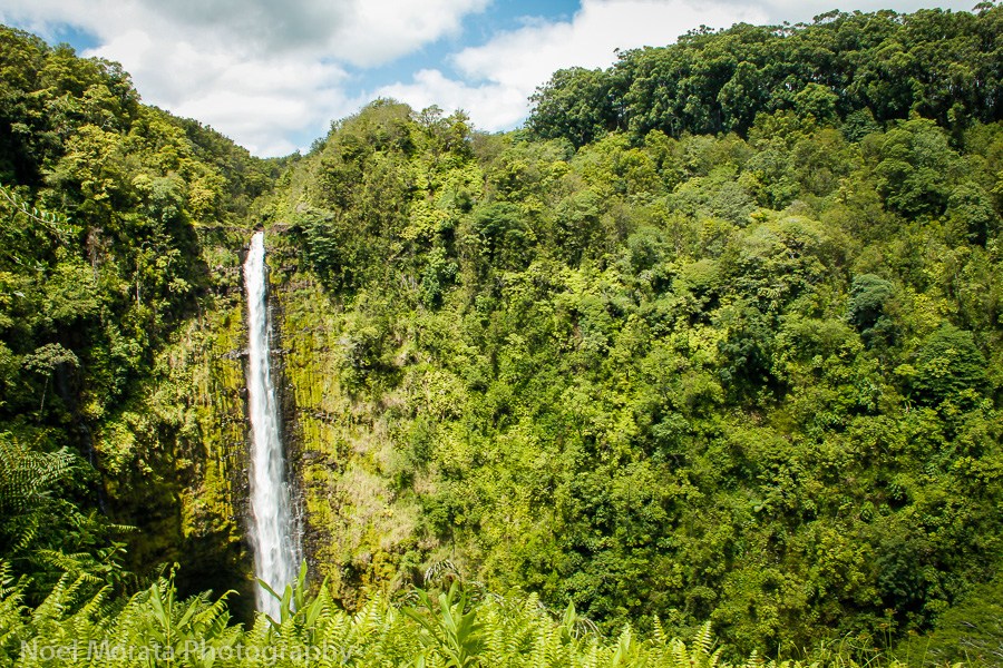 Big-Island-Akaka-falls