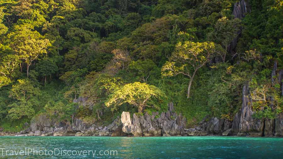 ElNido green.landscapes