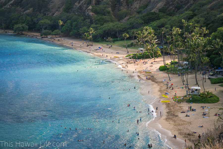 Guide of what to do and see in Honolulu