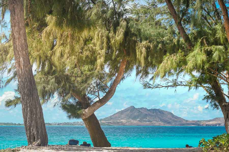 Oahu for Honolulu attractions