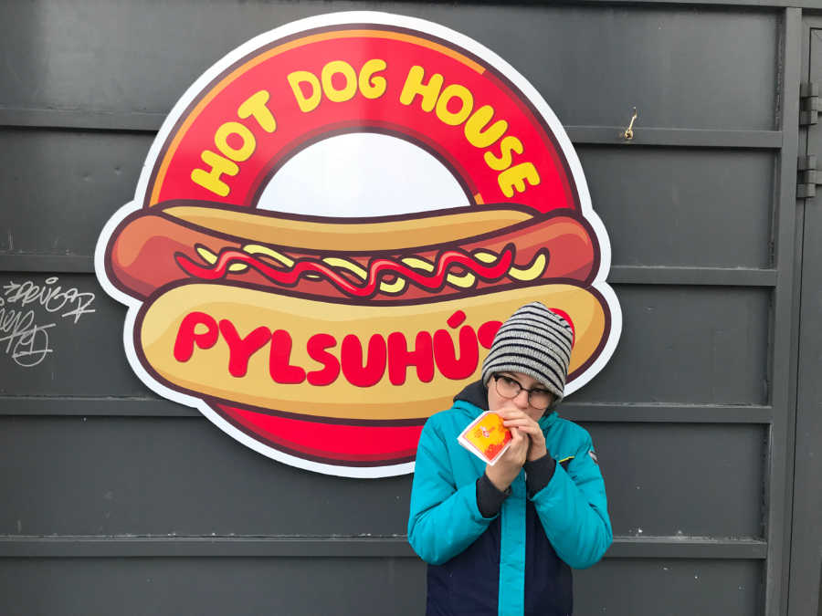 delicious HotDogs in Iceland