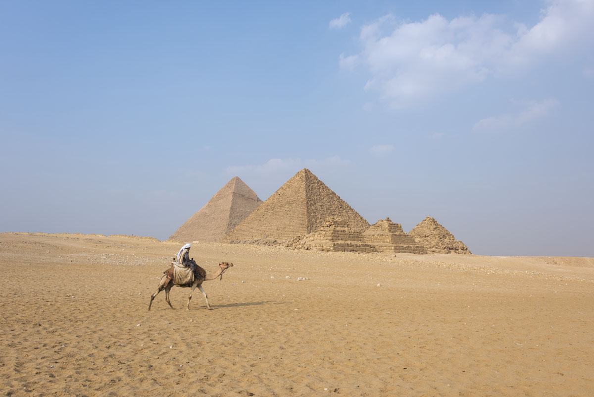 pyramids-giza-egypt-camel